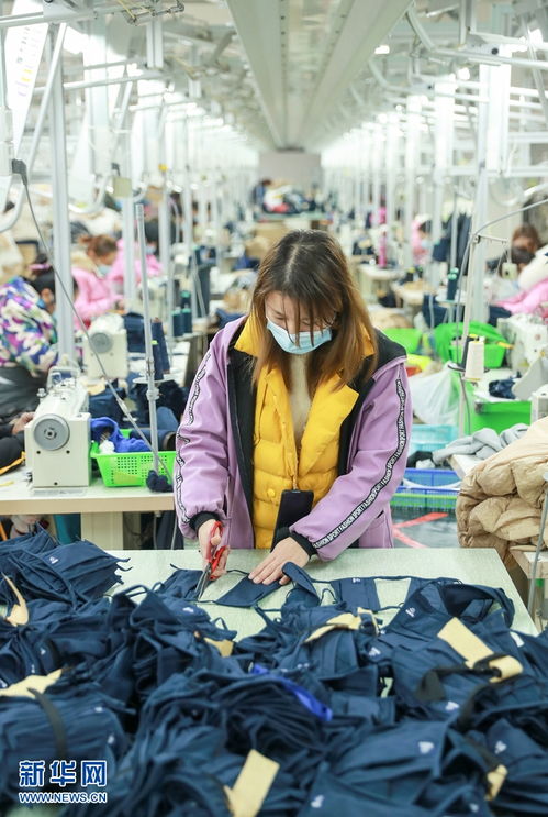 增設冬季用工崗位 促進農(nóng)民就業(yè)增收